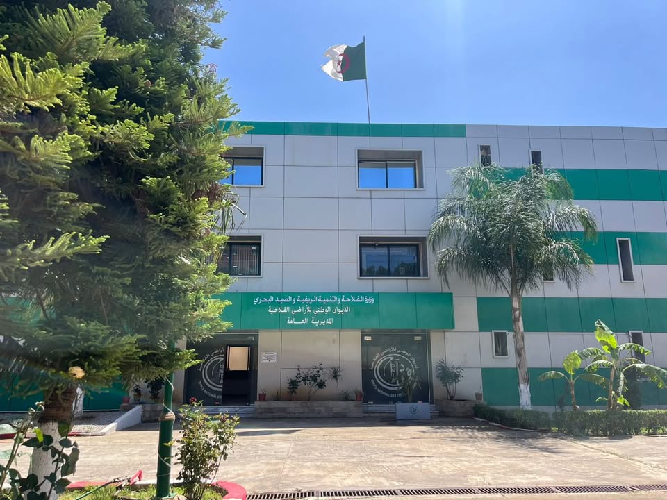 الجزائر تدخل مرحلة التحول الرقمي في توزيع الأراضي الفلاحية بآجال محددة للطعون