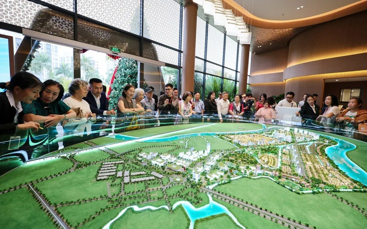 توقعات بوصول إيرادات القطاع في 